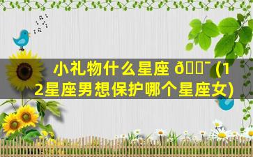 小礼物什么星座 🐯 (12星座男想保护哪个星座女)